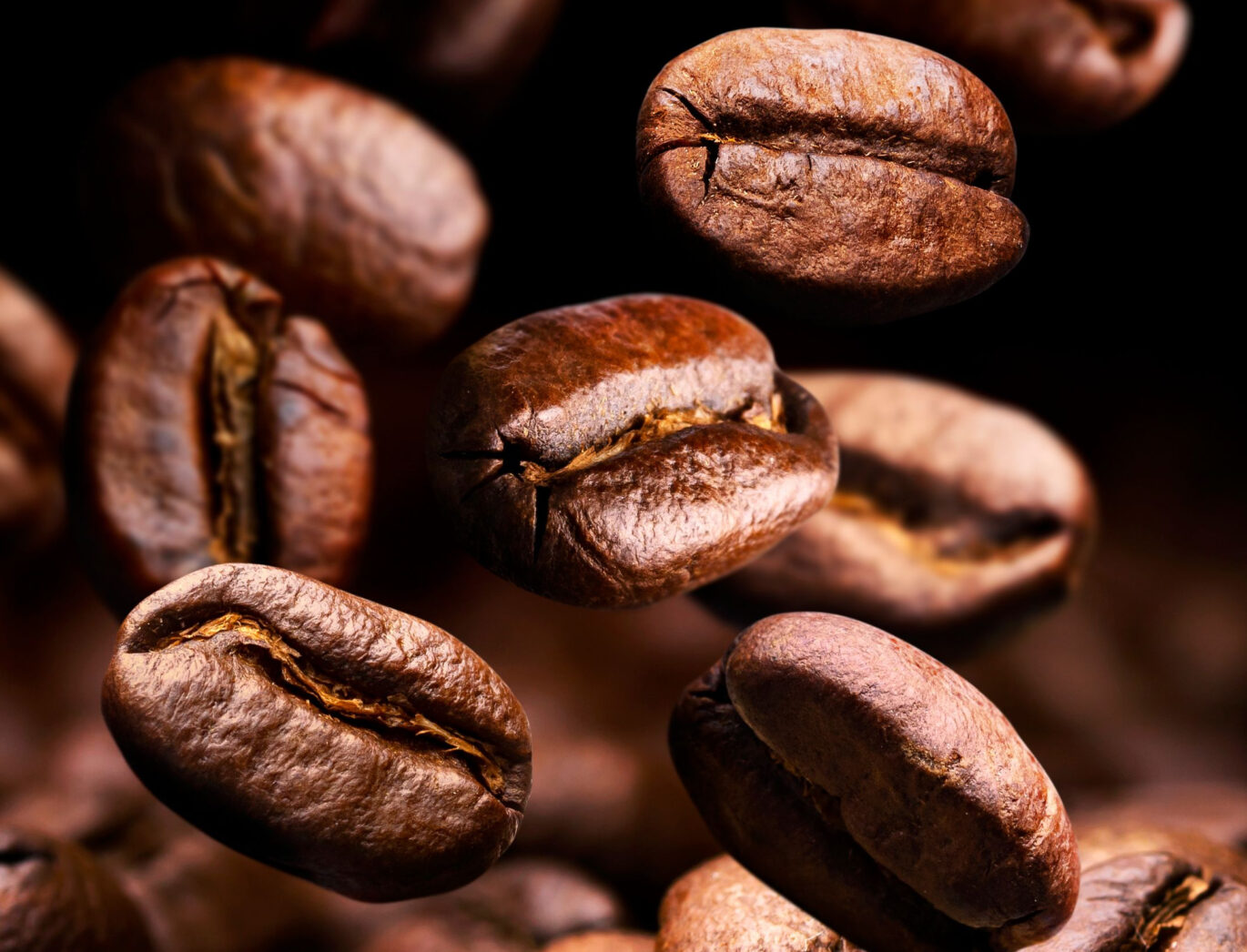 Arabica koffiebonen zijn erg geliefd. Maar welke moet je kiezen? Hier vind je de lekkerste arabica bonen